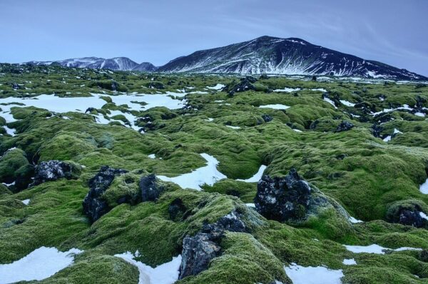 Lavafeld bei Hellisheidi, Island