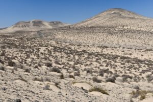 fuerteventura-bilder-fotos-018-wueste-sandduenen