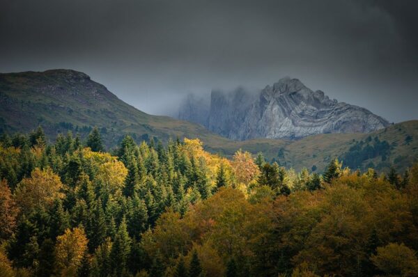 Herbstlandschaft in den Pyrenäen, Valle de Hecho, Parque Occidentales, Spanien