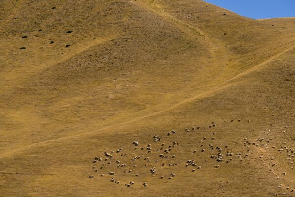 Steppenlandschaft, Assy Plateau, Kasachstan