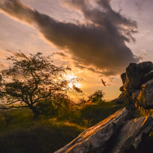 Deutschland – Teufelsmauer, Harz, Sachsen-Anhalt Deutschland - Teufelsmauer, Harz, Sachsen-Anhalt