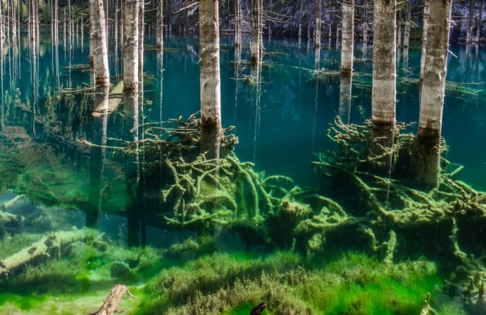 Kaindy See: bizarres Schauspiel auch unter dem Wasser, wo die versunkenen Fichten wie alte Schiffswracks anmuten