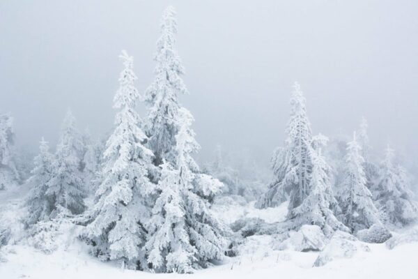 Deutschland - Brocken im Winter, Nationalpark Harz