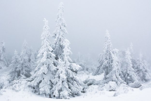 Deutschland - Brocken im Winter, Nationalpark Harz