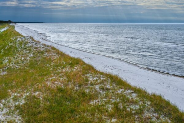 Deutschland-125-Ostsee-Zingst-Darss-Darsser-Urwald