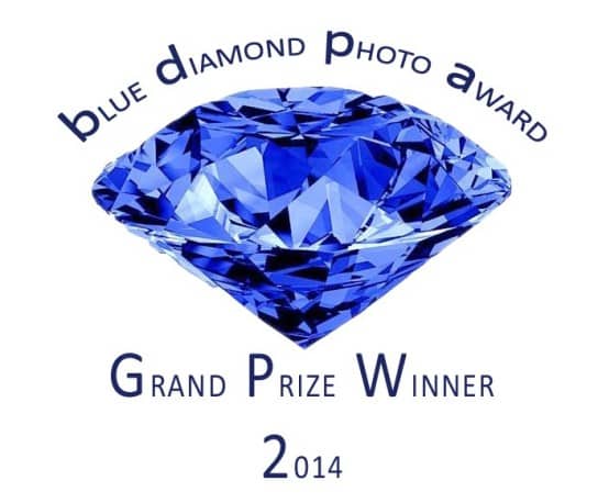 Winner Button Grand Prize 2014