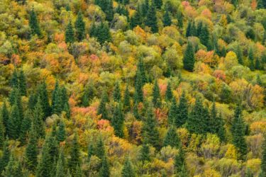 Herbstfarben im Tien Shan, Kasachstan
