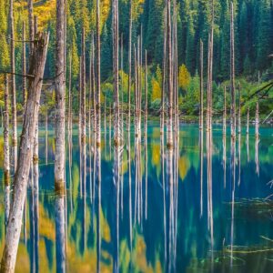 Kasachstan – Kaindy See, Tian Shan Kasachstan - Kaindy See, Tian Shan