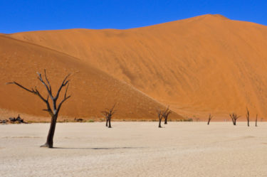 Dead Vlei, Namibia