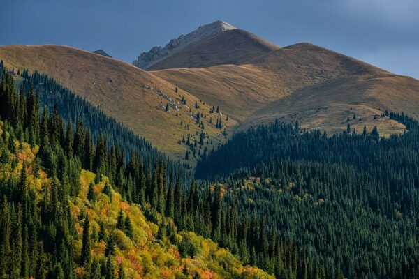 Herbst im Tien Shan, Kasachstan