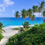 Palmenstrand der Bottom Bay, Barbados, Karibik