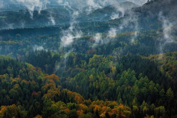 Deutschland - Herbst im Gebiet der Schrammsteine, Elbsandsteingebirge