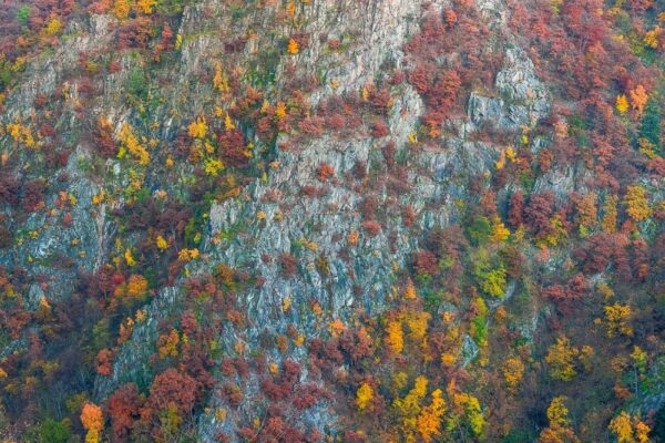 Deutschland - Herbstfarben am Hexentanzplatz, Bodetal