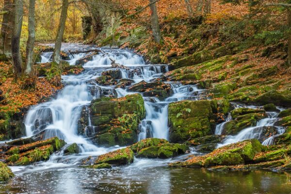 Selkefälle, Harz, Sachsen-Anhalt