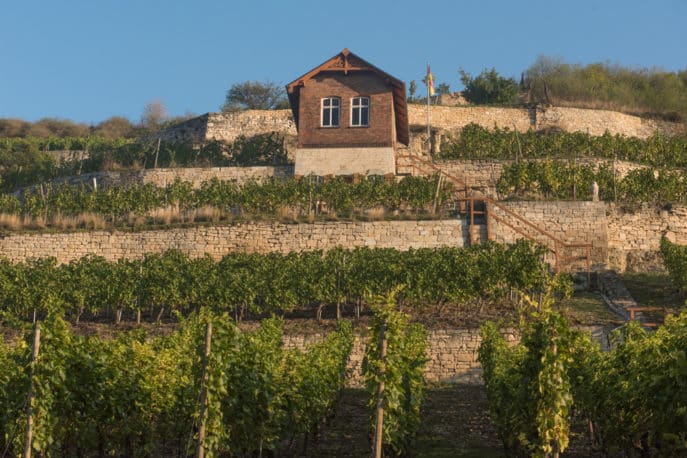 freyburg-unstrut-weinberge-landschaft-3