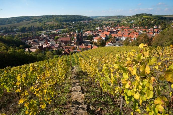 freyburg-unstrut-weinberge-landschaft-4