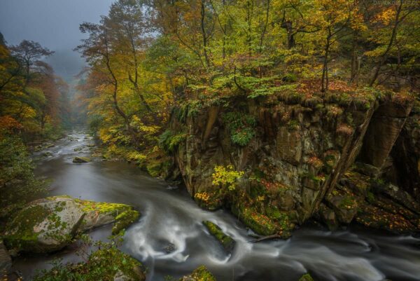 Deutschland - Bodetal im Herbst