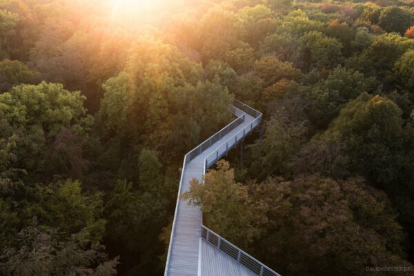 Deutschland - Urwald im Nationalpark Hainich