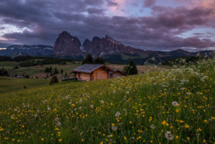 Dolomiten - Frühling auf der Seiser Alm (Alpe di Suisi), Südtirol