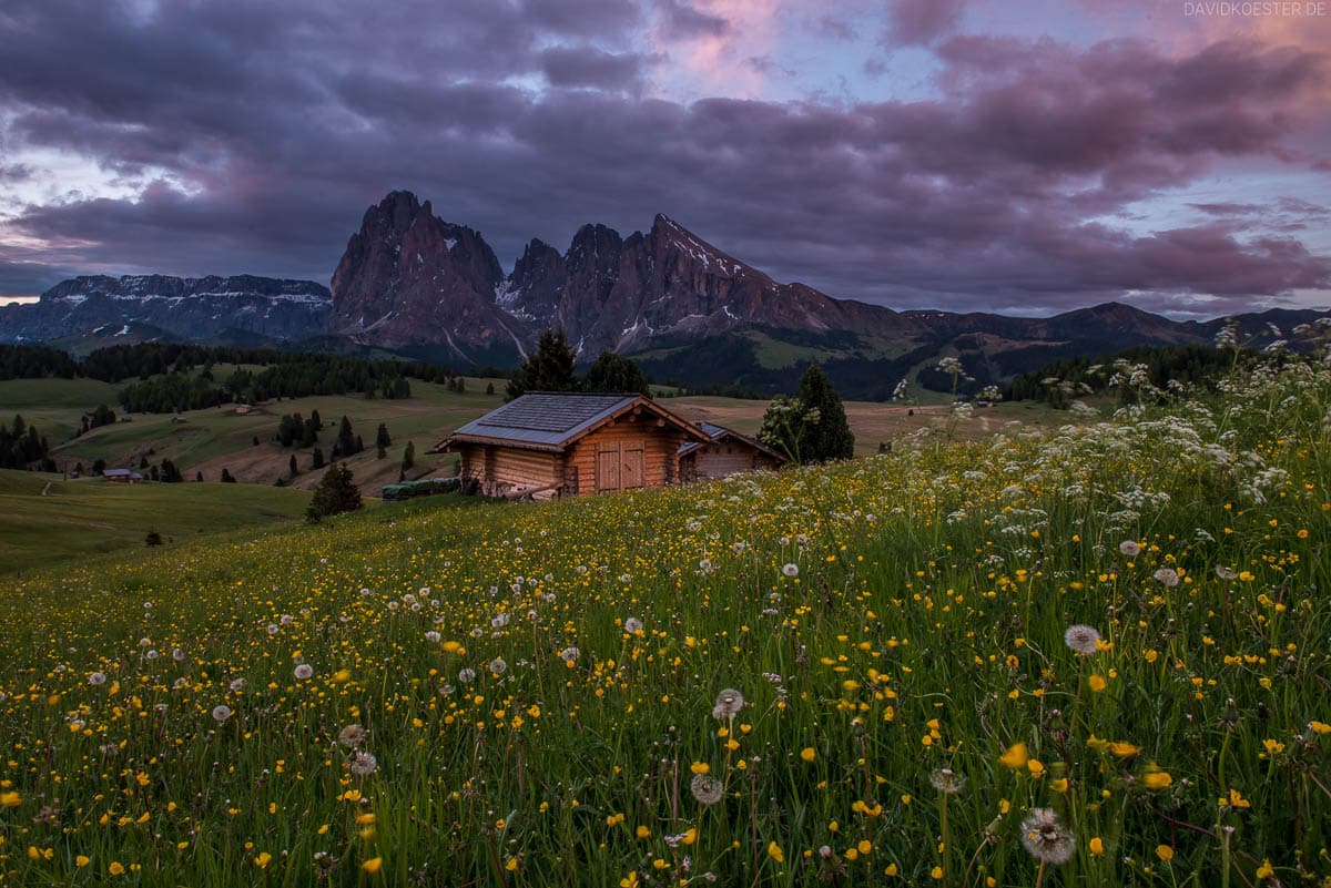 Dolomiten - Seiser Alm und blühende Alm - Landschaftsfotograf David Köster