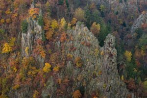 Deutschland - Herbst am Hexentanzplatz, Sachsen-Anhalt