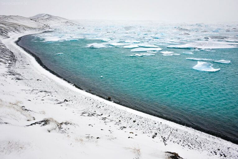 Gletschersee Jökulsarlon mit Eisbergen und verschneitem Ufer am Vatnajökull, Island