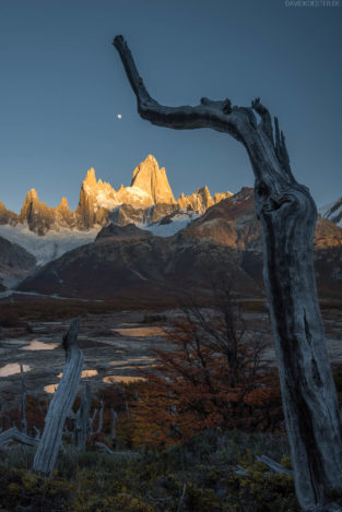 Patagonien: Verwunschene Bäume, Gipfelglühen und Mond am Fitz Roy, Los Glaciares, Argentinien