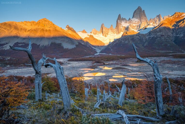 Patagonien: Baumstämme, kleine Seen und Fitz Roy im Sonnenuntergang, Los Glaciares, Argentinien
