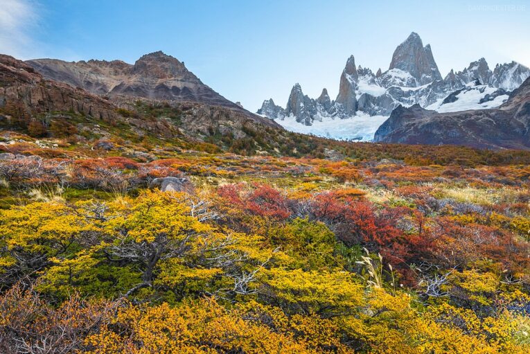 Patagonien: Herbst am Fitz Roy, Los Glaciares, Argentinien
