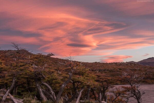 Patagonien: UFO Wolken (Lenticular Wolken) an der Laguna Capri, Los Glaciares, Argentinien