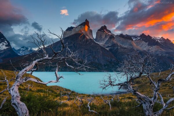 Patagonien - Lago Nordenskjöld, Torres del Paine Nationalpark, Chile