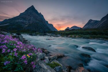 Grönland - Fluss mit Wildblumen und bizarren Bergen
