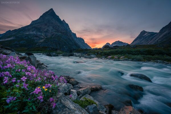 Grönland - Fluss mit Wildblumen und bizarren Bergen