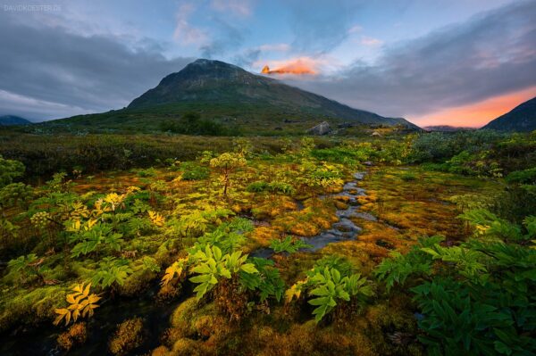 Grönland - Tundra im Tal Klosterdalen mit Berg Ketil