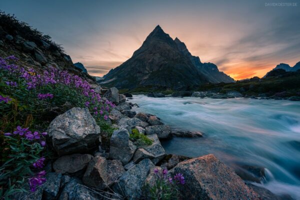 Grönland - Arktischer Fluss, Blumen und bizarre Berge