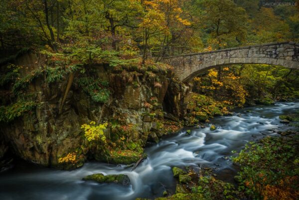 Fotoworkshop Harz Bodetal