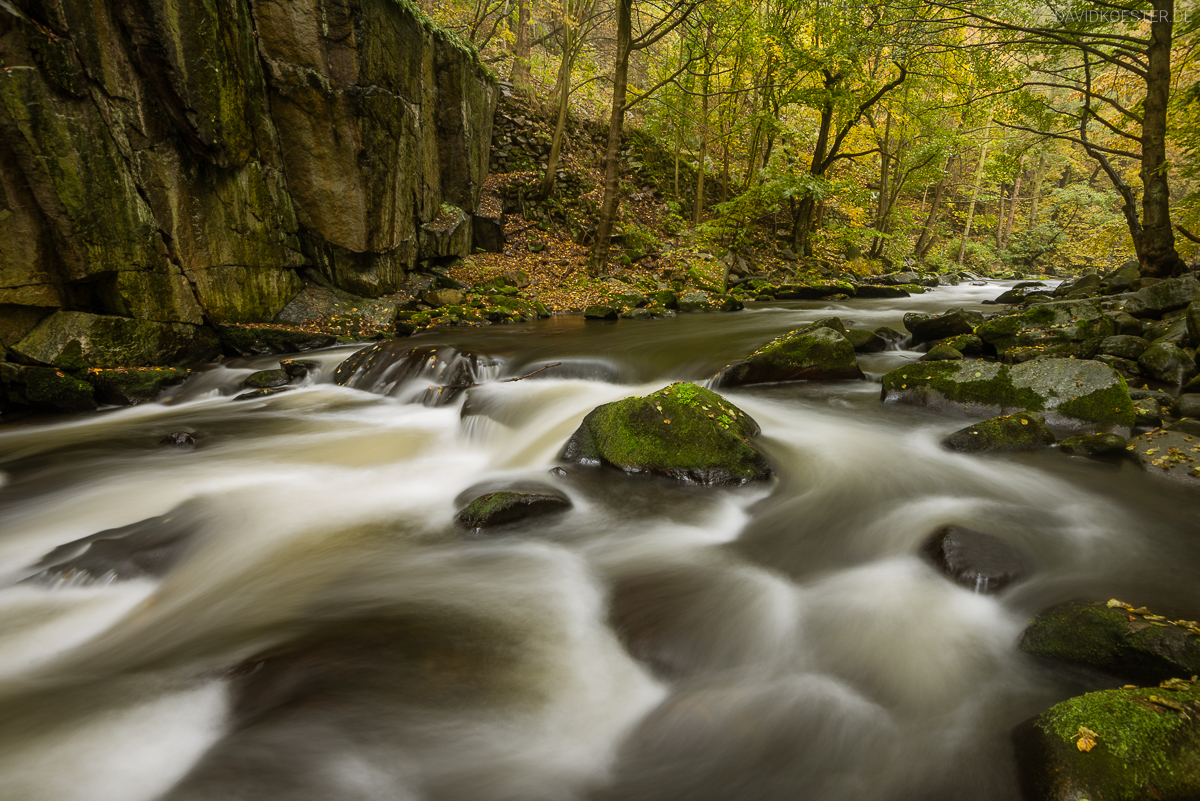 Fotoworkshop Harz Bodetal