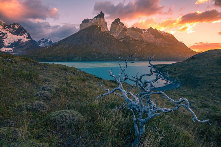 Landschaft am Lago Nordenskjöld, Torres del Paine Nationalpark, Patagonien, Chile