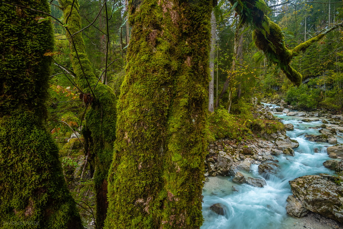 Ramsauer Ache und Zauberwald, David - Köster Berchtesgadener Land, Landschaftsfotograf Bayern