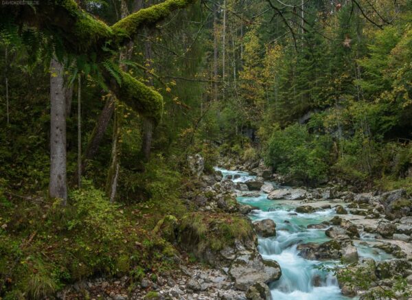 Zauberwald und Ramsauer Ache, Ramsau bei Berchtesgaden, Bayern