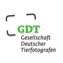 GDT