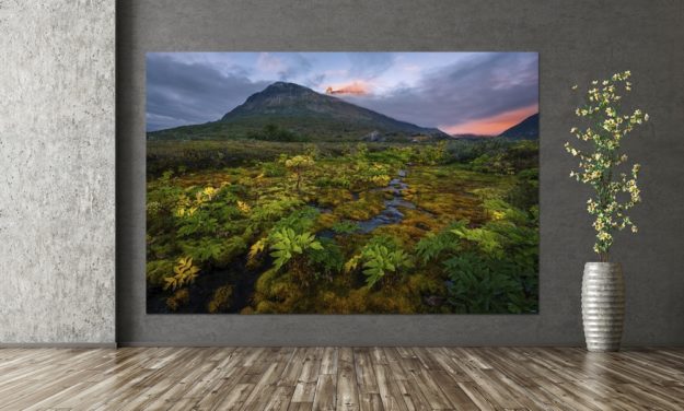 Empty room interior background, black stucco wall, vase with branch 3d rendering