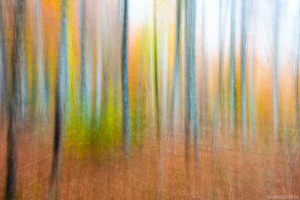 Deutschland - Herbstfarben im Wald, Bayern