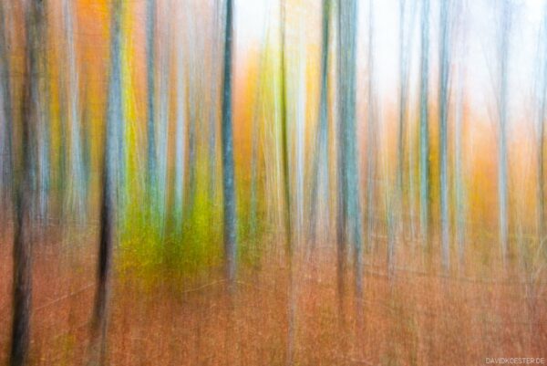Deutschland - Herbstfarben im Wald, Bayern