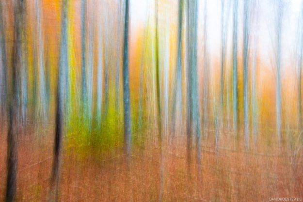Deutschland - Herbstfarben im Wald, Bayern