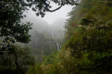 Madeira
