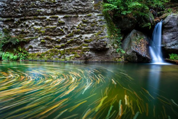 Deutschland - Gelobtbach Wasserfall im Elbsandsteingebirge