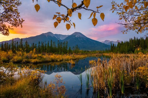 Kanada - Herbst an den Vermillion Lakes, Banff NP