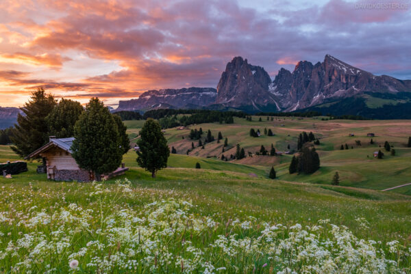 Dolomiten - Seiser Alm im Frühling zu Sonnenaufgang, Südtirol