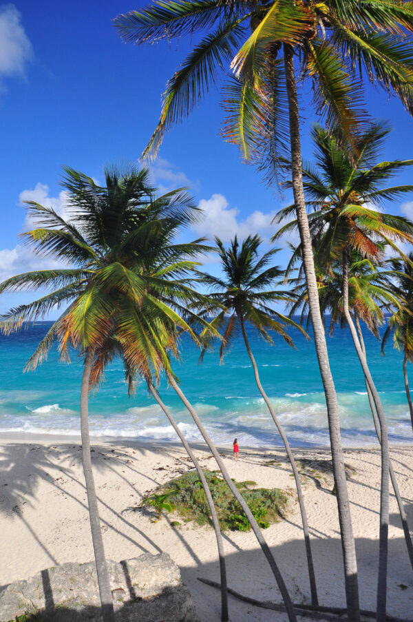 Karibik - Bottom Bay, Barbados